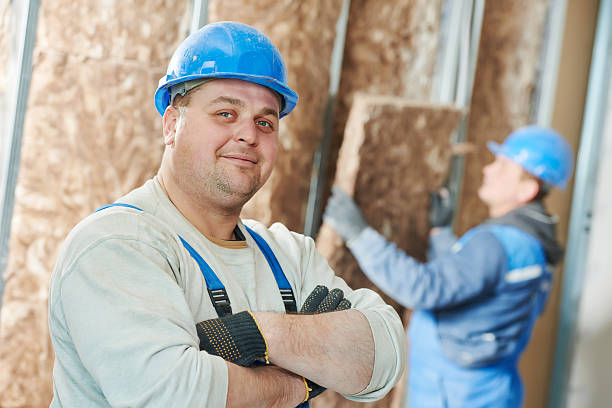 Best Eco-Friendly or Green Insulation Solutions  in Geneva, AL